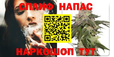 сатива Малгобек