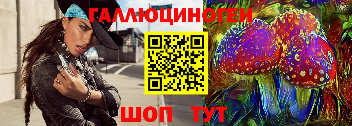 Галлюциногенные грибы Psilocybe Усть-Илимск